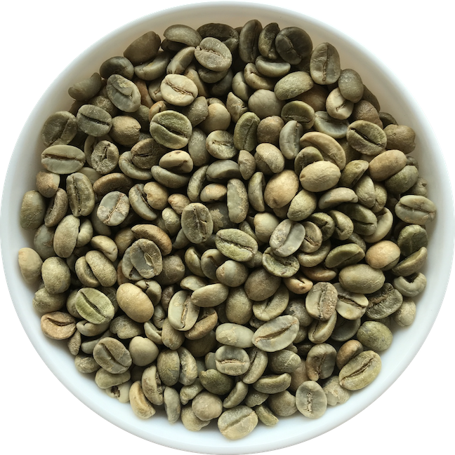 coffee bean exporters